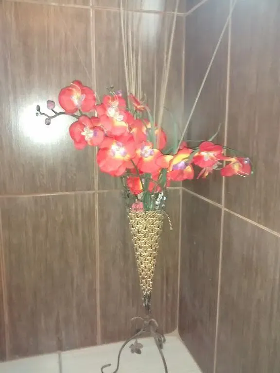 Kro Pousada Familia Flores Penha